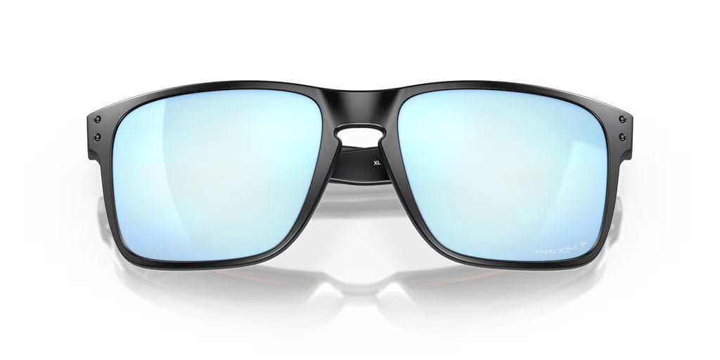 Holbrook XL Prizm Polar