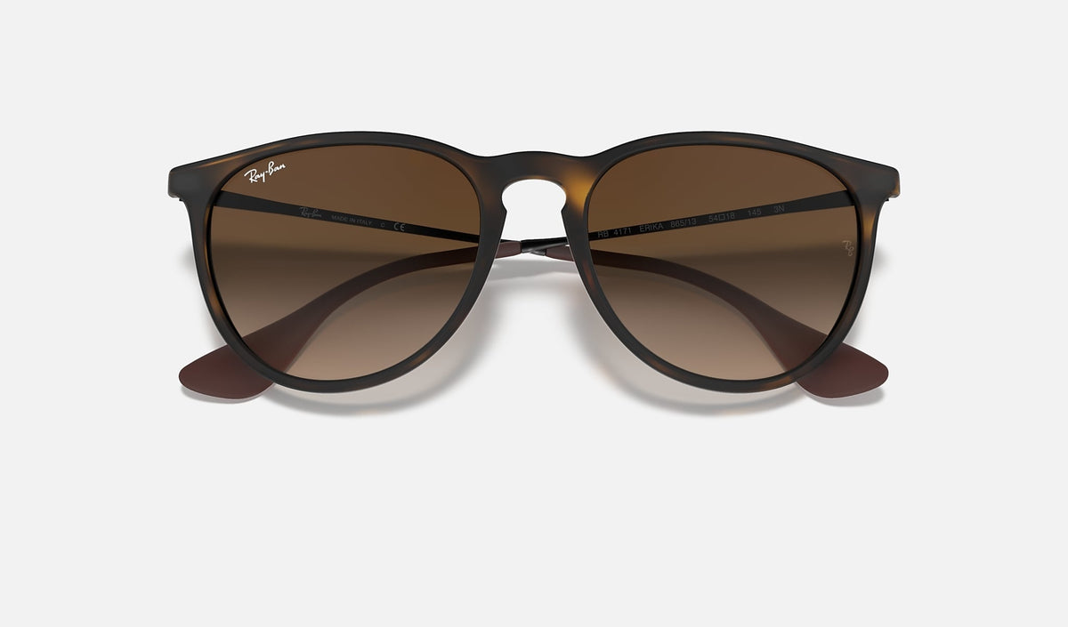 Erika Classic Tortoise Polarized Sunglasses