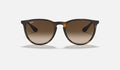 Erika Classic Tortoise Polarized Sunglasses
