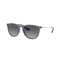 Erika Classic Polar