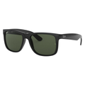 New Wayfarer Classic Polar